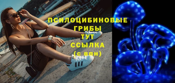 мяу мяу мука Алзамай