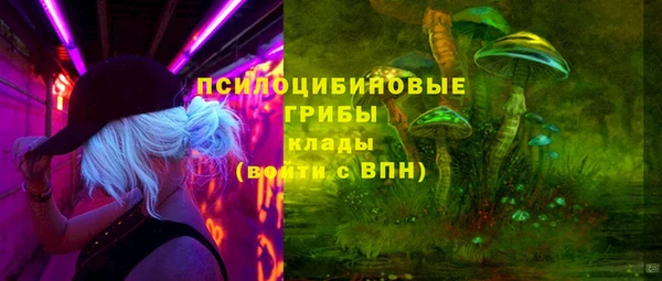 хмурый Алексеевка