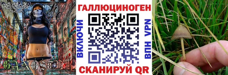 Псилоцибиновые грибы GOLDEN TEACHER  гидра рабочий сайт  Палласовка 